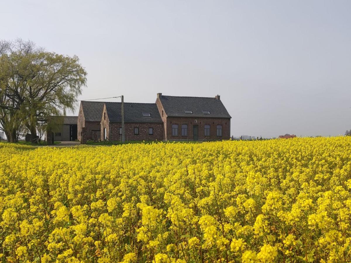 Spacious Holiday Home With Pond In Poperinge Roesbrugge-Haringe Bagian luar foto